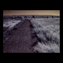 Bayland Trails Infrared Image posters