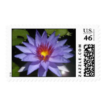 Bayou Blue postage