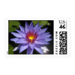 Bayou Blue Stamp