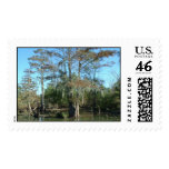 bayou country stamp