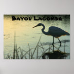 bayou life poster