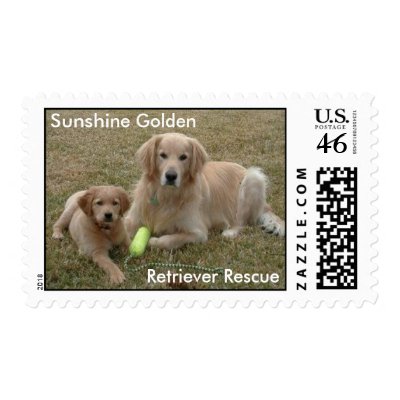 Bayou Stamps, Sunshine Golden Retriever Rescue by sunshinegoldens