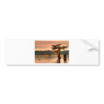 Bayou Sunset 5769 bumper stickers by BuckCash Bayou Sunset 5769 bumper stickers