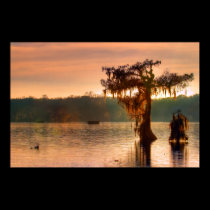 Bayou Sunset 5769 posters