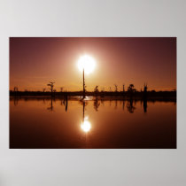 Bayou Sunset Poster