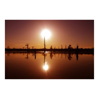 Bayou Sunset Poster by pepethepuppet