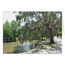 Bayou Tree, Avery Island, Louisiana Greeting Cards