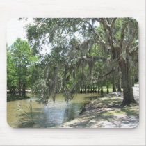 Bayou Tree, Avery Island, Louisiana Mousepads