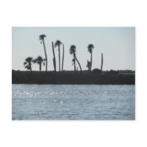 Bayport Florida Postcard