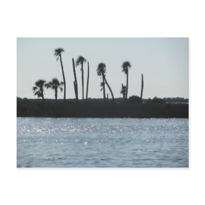 Bayport Florida Postcard by theartoward