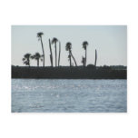 Bayport Florida Postcard