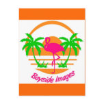 BAYSIDE IMAGES PINK FLAMINGO POST CARD