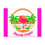 BAYSIDE IMAGES PINK FLAMINGO POST CARD