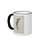 Bazile mugs