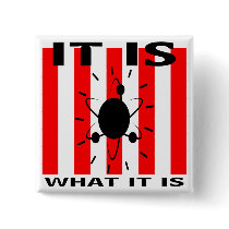 Bazinga Gifts Pin