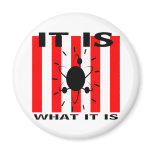 Bazinga Gifts Magnets