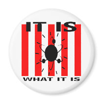 Bazinga Gifts Magnets