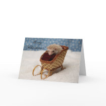 BB238777, MerryChristmas! cards by PogStarHedgehogs BB238777, MerryChristmas! cards