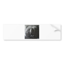 BB Bear Bumper Sticker