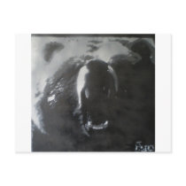 BB Bear Postcards