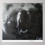 BB Bear Poster