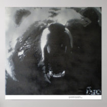 BB Bear Poster
