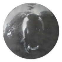 BB Bear Round Stickers
