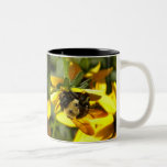 BB- Bumblebee and Daisy Mug