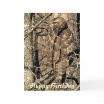 BB-  Happy Birthday hawk Card