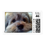 BB postage