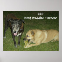 BBF - Best Buddies Forever Posters