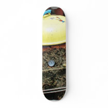 Bbq Logs Lids Skate Board