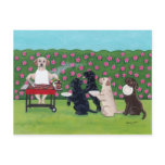 BBQ Party Labs in the Azalea Garden Postcard