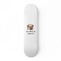 bbtrr, hwylacbk skateboards