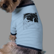 BBW Big Beautiful Witch pet clothing