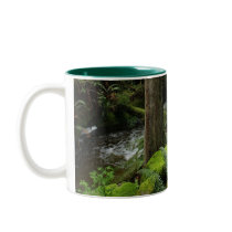 BC Forest Creek Ferns Wilderness Nature Drinkware
