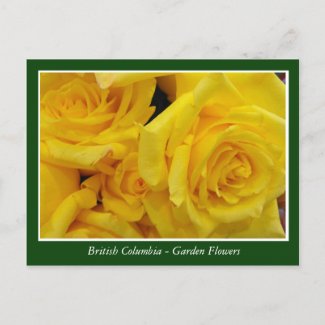 BC garden flowers Postcard