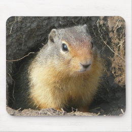 BC Ground Squirrel mousepad