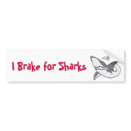 BC-I Brake for Sharks Bumper Sticker bumpersticker