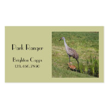 BC Sandhill Crane and Chicks Business Card