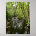 BC streams 1  2011 Print