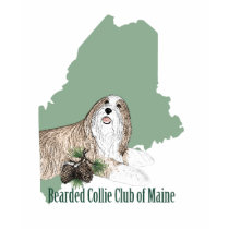 BCCME Women's Basic T-shirt