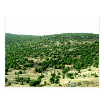 Bcharre, Lebanon postcards