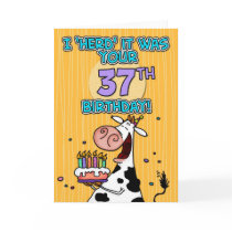 bd cow - 37 card