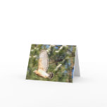 BD- Flying Hawk Note/Greeting Cards