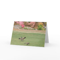 BD- Goose and Azalea notecards by patcallum BD- Goose and Azalea notecards