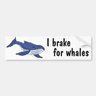 BD- I brake for whales bumper sticker