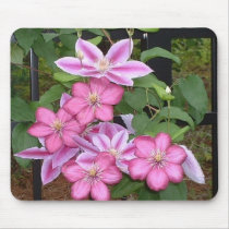 BD- Pink clematis flower mousepad by patcallum BD- Pink clematis flower mousepad
