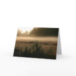 [ BD ] Victorian Landscapes : Healesville Greeting Cards