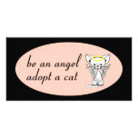 Be An Angel Adopt A Cat Photocard Photo Cards
